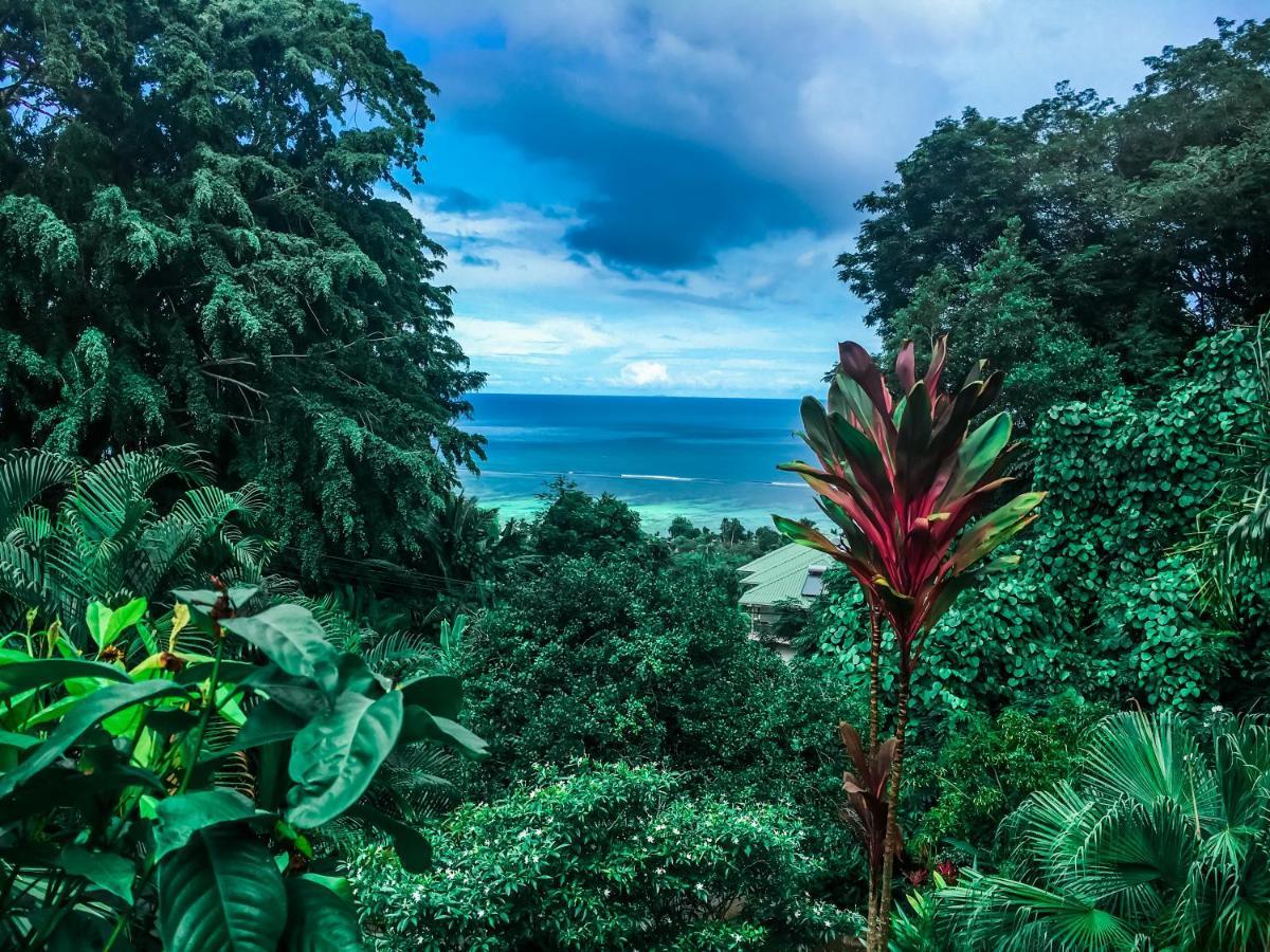 Ocean Vista *